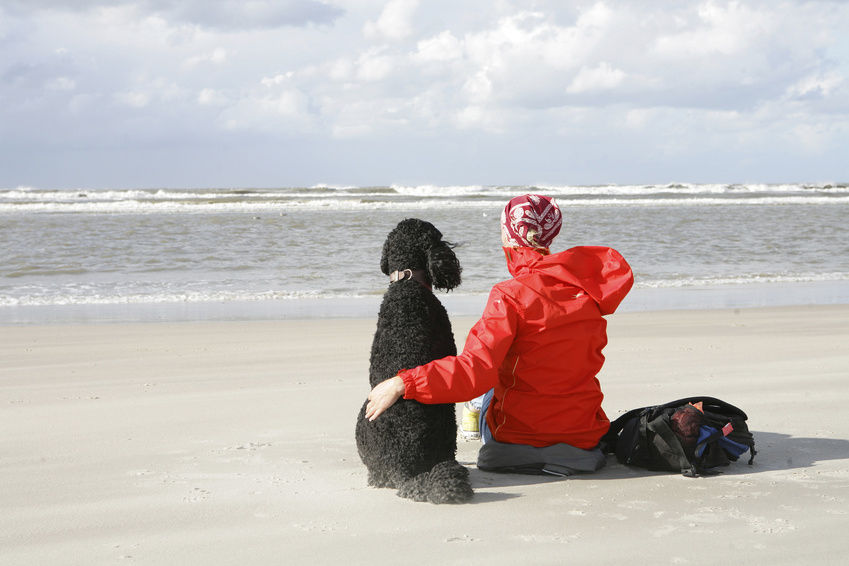 frau mit hund am strand