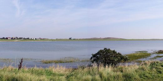 Südstrandpolder - Vogelschutzgebiet